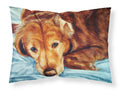 Golden Retriever by Tanya and Craig Amberson Standard Pillowcase Lightweight Super Soft Easy Care Decorative Artwork Pillowcase, Standard
