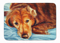 Golden Retriever by Tanya and Craig Amberson Memory Foam Kitchen Mat Machine Washable Anti-Fatigue Cushion Comfort Bath or Kitchen Rug