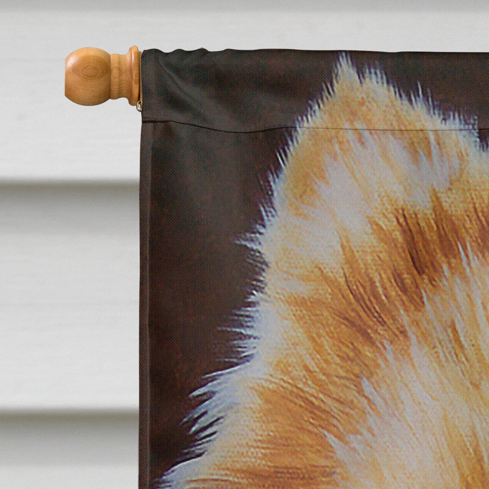 Pomeranian House Flag 28x40 Porch Sleeve Pole Decorative Outside Yard Banner Artwork Wall Hanging, Polyester