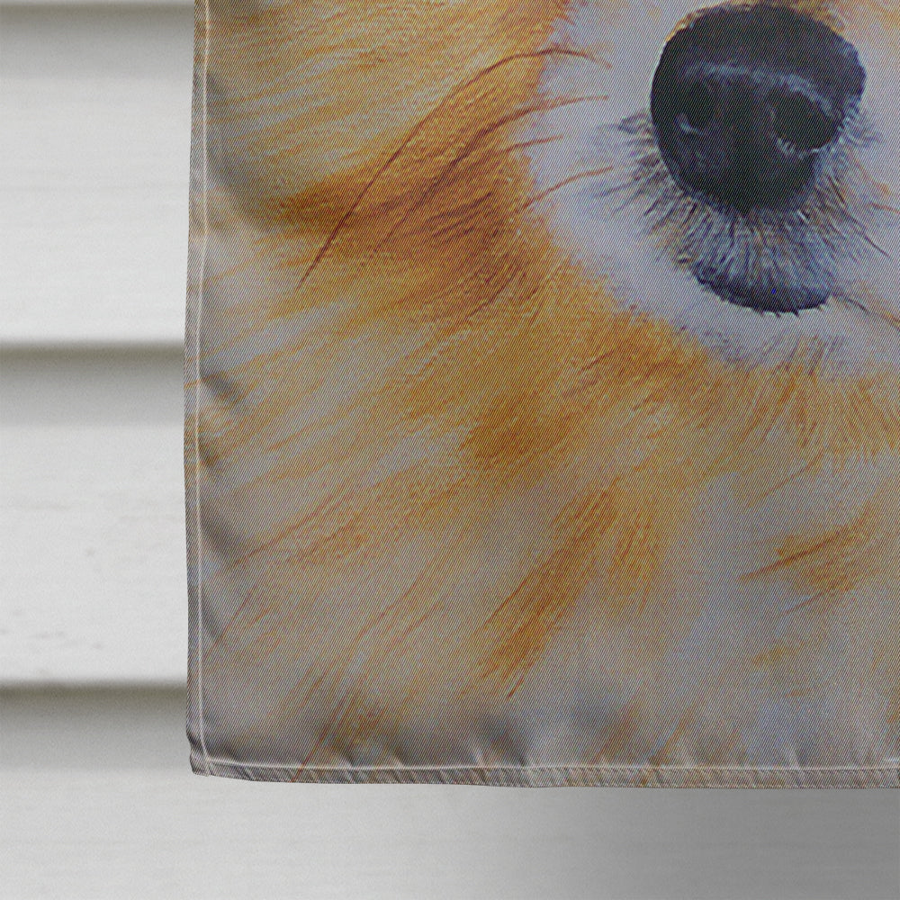 Pomeranian House Flag 28x40 Porch Sleeve Pole Decorative Outside Yard Banner Artwork Wall Hanging, Polyester