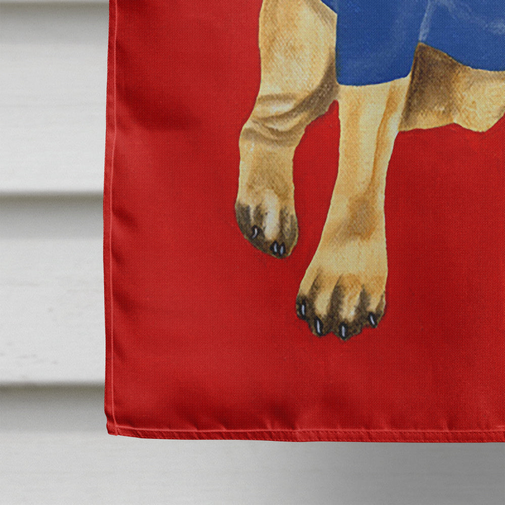 Go Team Varsity Pug House Flag 28x40 Porch Sleeve Pole Decorative Outside Yard Banner Artwork Wall Hanging, Polyester