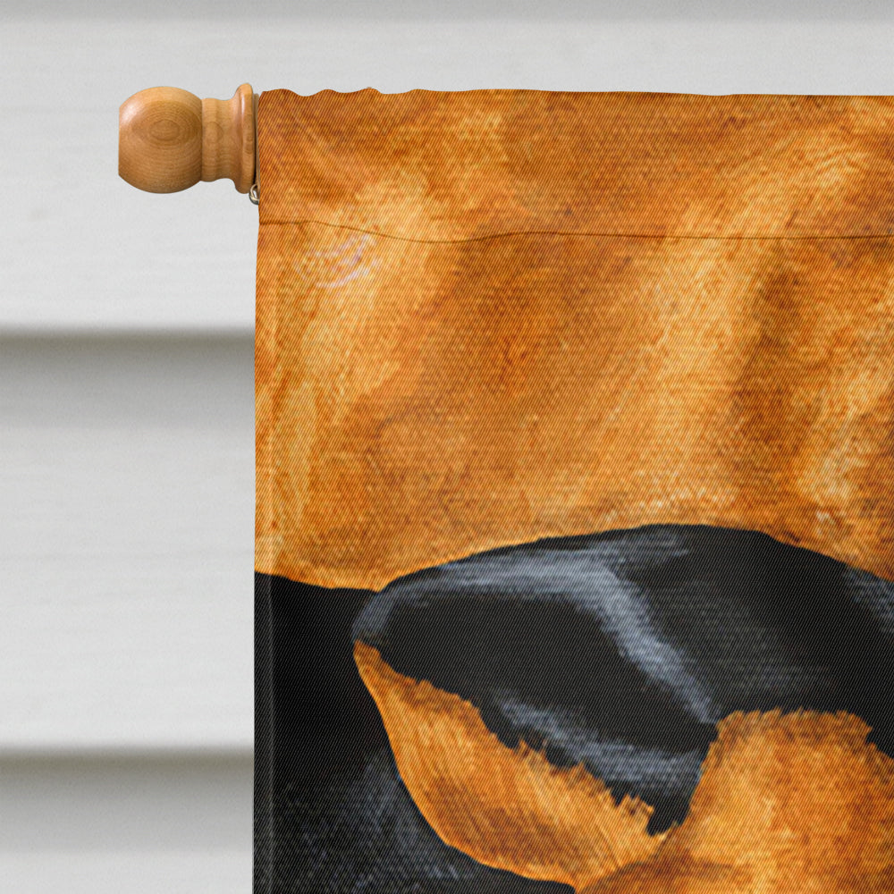 Dachshund Snuggles House Flag 28x40 Porch Sleeve Pole Decorative Outside Yard Banner Artwork Wall Hanging, Polyester