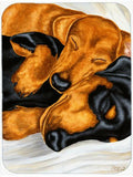 Dachshund Snuggles Cutting Board Tempered Glass Kitchen Cutting Surface, Heat Resistant Chopping, Non-Slip Feet, Food Prep & Serving