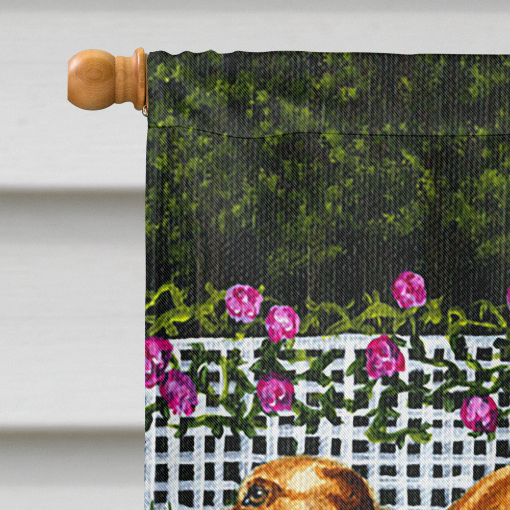 Rose Garden Frolick Greyhounds House Flag 28x40 Porch Sleeve Pole Decorative Outside Yard Banner Artwork Wall Hanging, Polyester