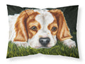 Cavalier Spaniel in the Grass Standard Pillowcase Lightweight Super Soft Easy Care Decorative Artwork Pillowcase, Standard