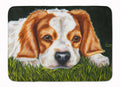 Cavalier Spaniel in the Grass Memory Foam Kitchen Mat Machine Washable Anti-Fatigue Cushion Comfort Bath or Kitchen Rug
