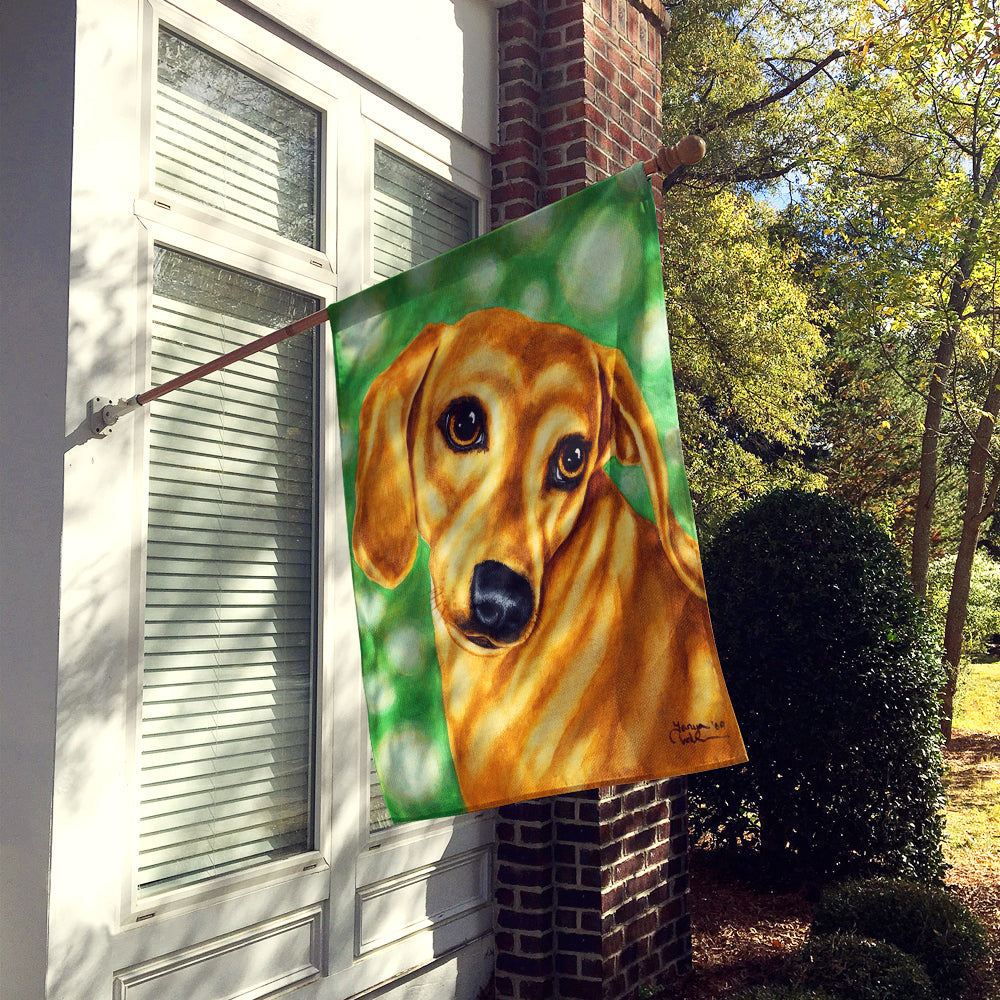 The Eyes Have It Dachshund House Flag 28x40 Porch Sleeve Pole Decorative Outside Yard Banner Artwork Wall Hanging, Polyester