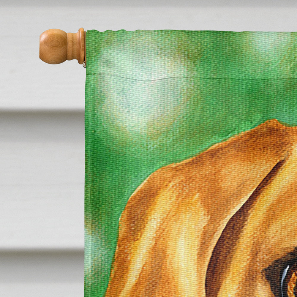 The Eyes Have It Dachshund House Flag 28x40 Porch Sleeve Pole Decorative Outside Yard Banner Artwork Wall Hanging, Polyester