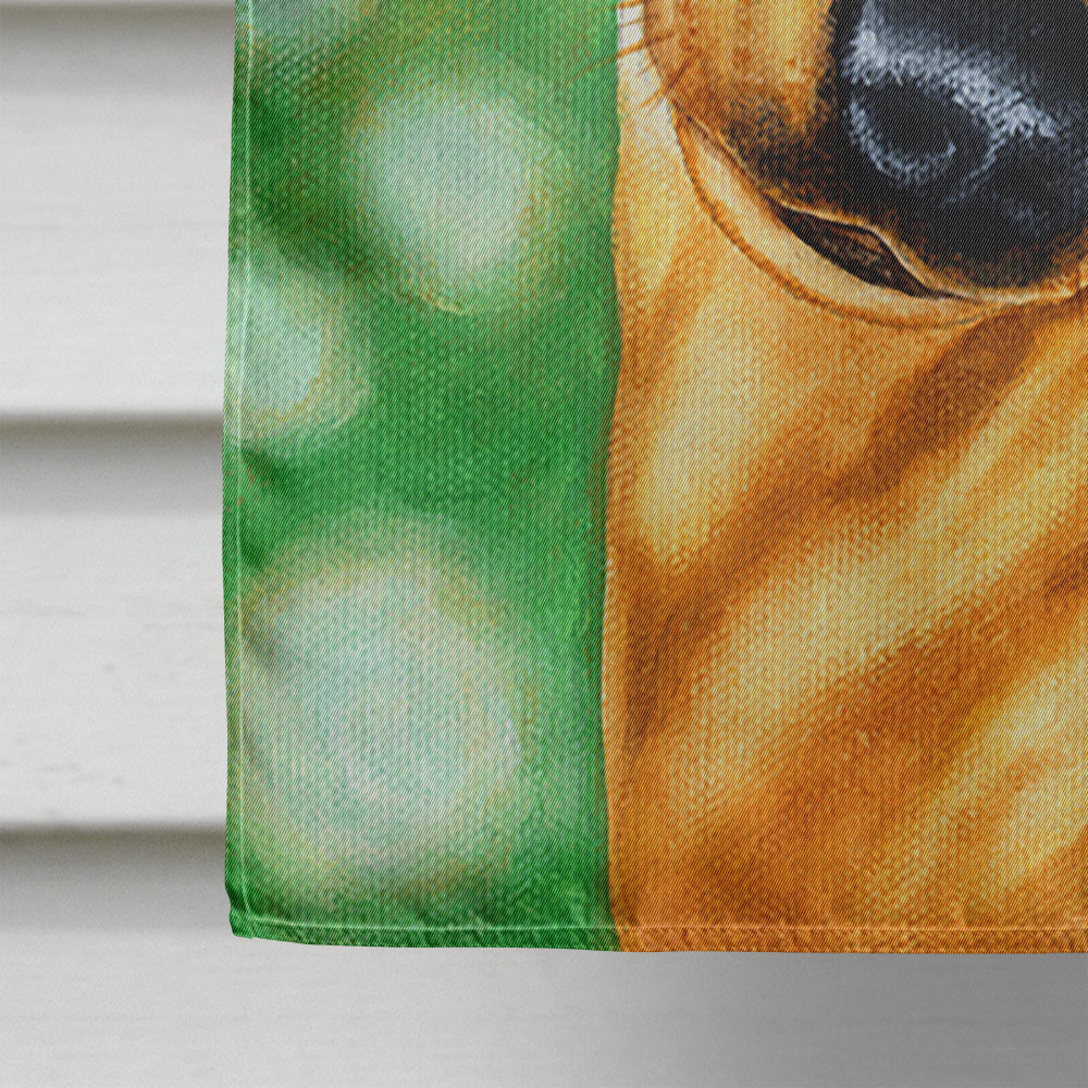 The Eyes Have It Dachshund House Flag 28x40 Porch Sleeve Pole Decorative Outside Yard Banner Artwork Wall Hanging, Polyester