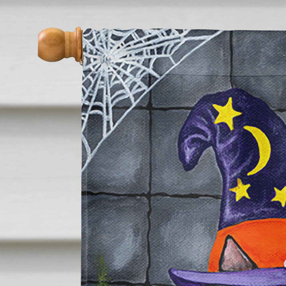 Brewing up Trouble Halloween Dachshund House Flag 28x40 Porch Sleeve Pole Decorative Outside Yard Banner Artwork Wall Hanging, Polyester