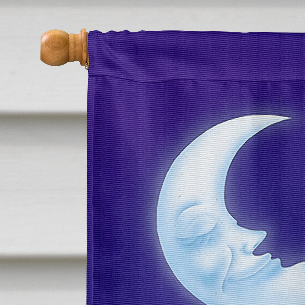 Music under the Moon Penguins House Flag 28x40 Porch Sleeve Pole Decorative Outside Yard Banner Artwork Wall Hanging, Polyester