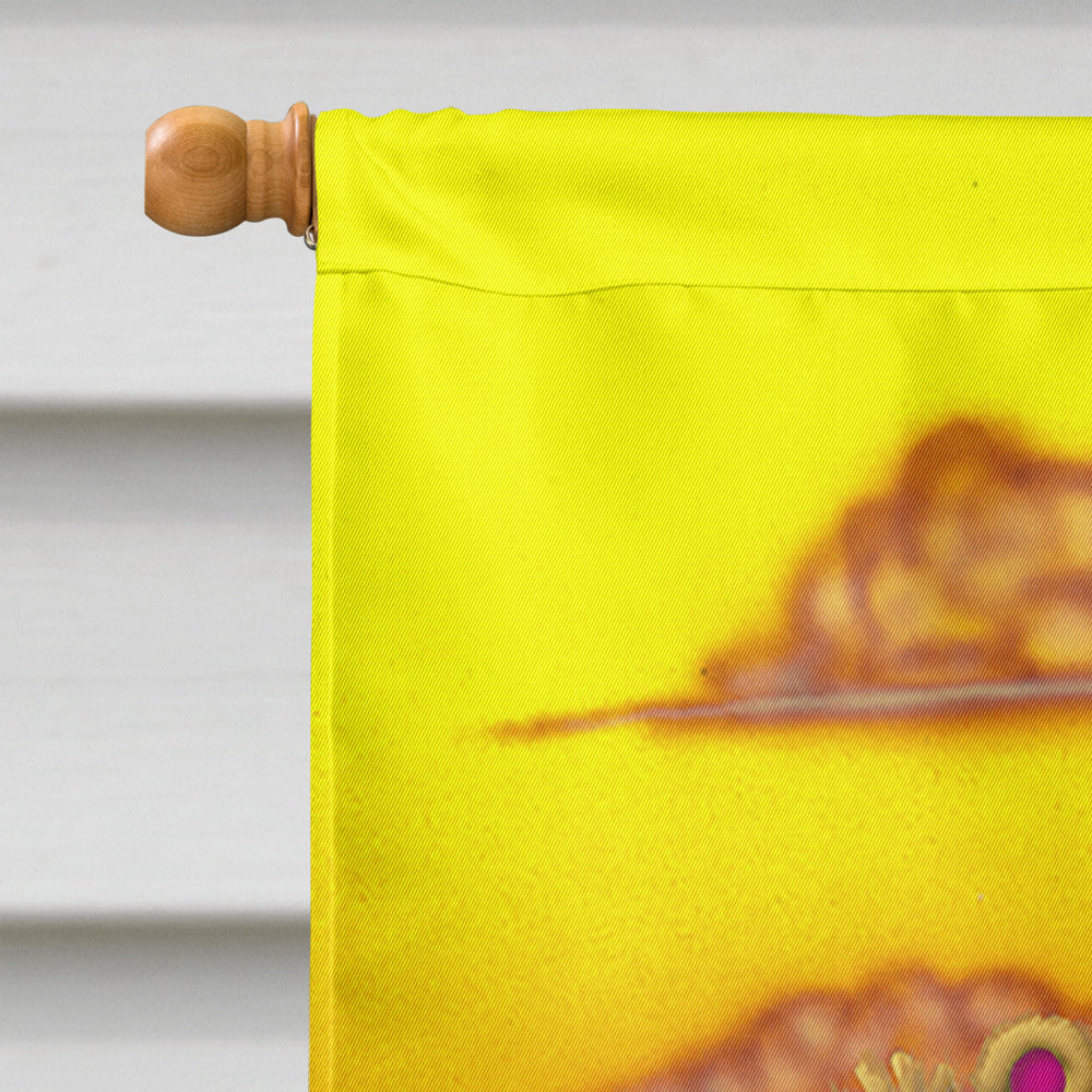 Teddy Bear Water Skiing House Flag 28x40 Porch Sleeve Pole Decorative Outside Yard Banner Artwork Wall Hanging, Polyester