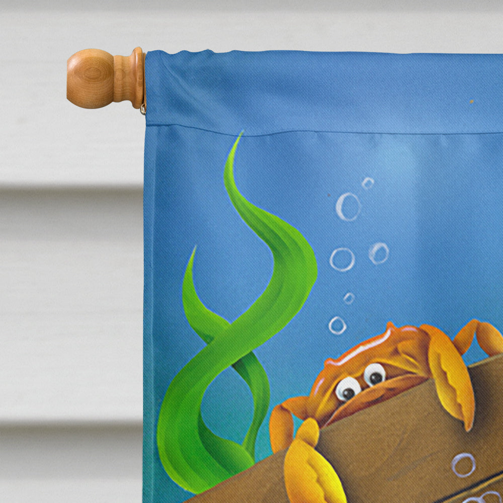 Dolphins Treasure Chest House Flag 28x40 Porch Sleeve Pole Decorative Outside Yard Banner Artwork Wall Hanging, Polyester