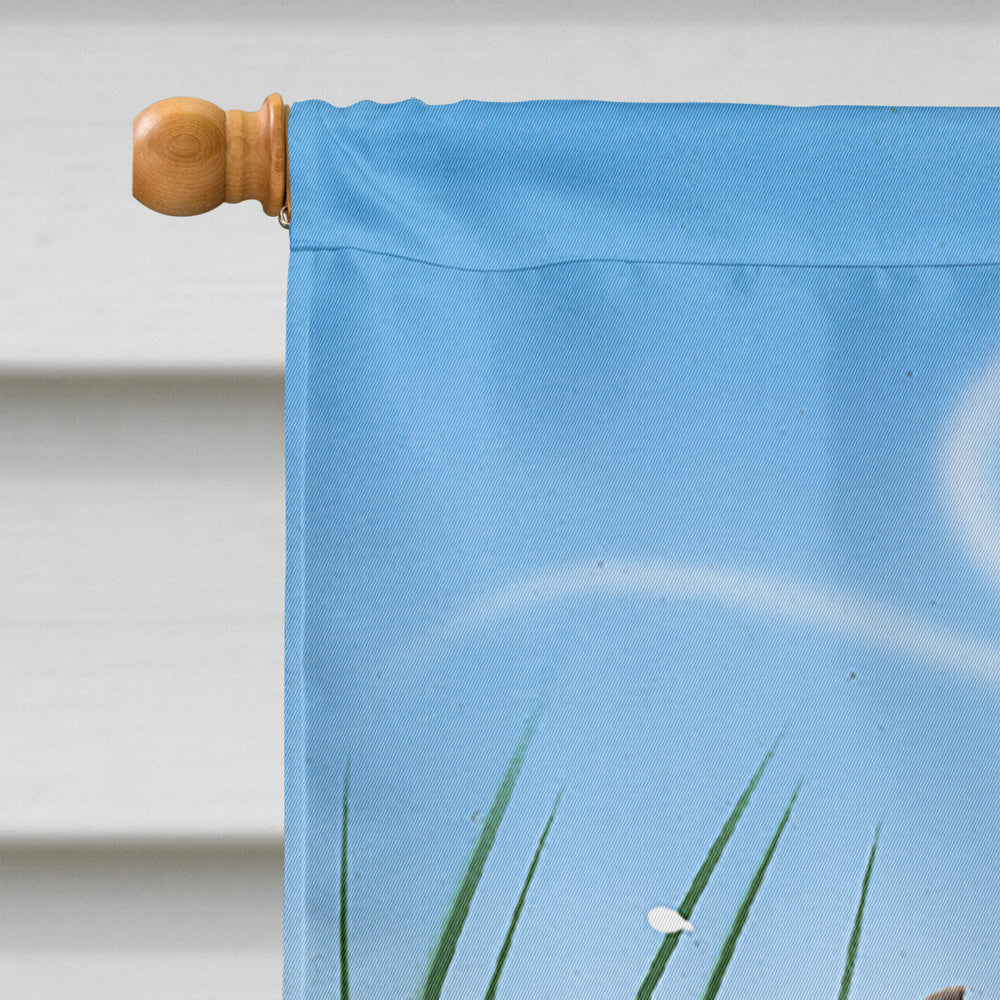 Frog Happy Plate House Flag 28x40 Porch Sleeve Pole Decorative Outside Yard Banner Artwork Wall Hanging, Polyester