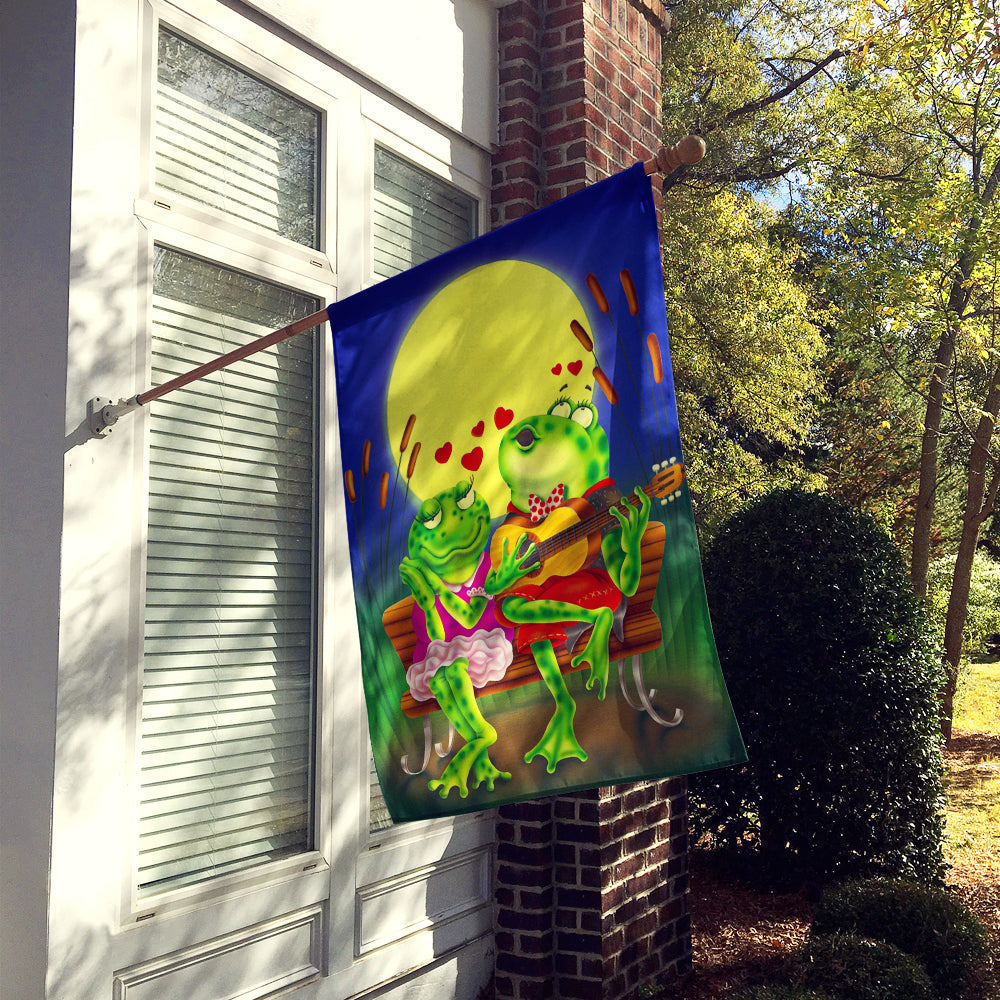 Frog Love Songs House Flag 28x40 Porch Sleeve Pole Decorative Outside Yard Banner Artwork Wall Hanging, Polyester