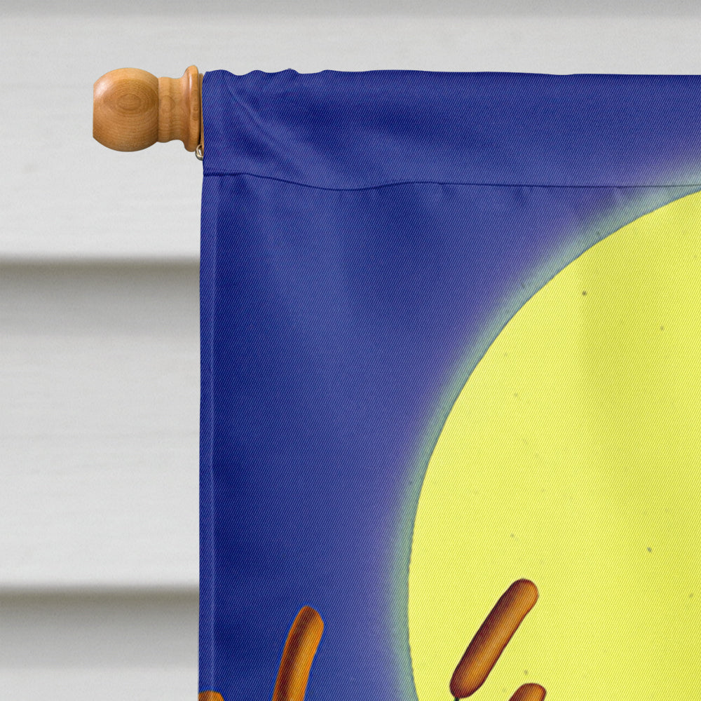Frog Love Songs House Flag 28x40 Porch Sleeve Pole Decorative Outside Yard Banner Artwork Wall Hanging, Polyester
