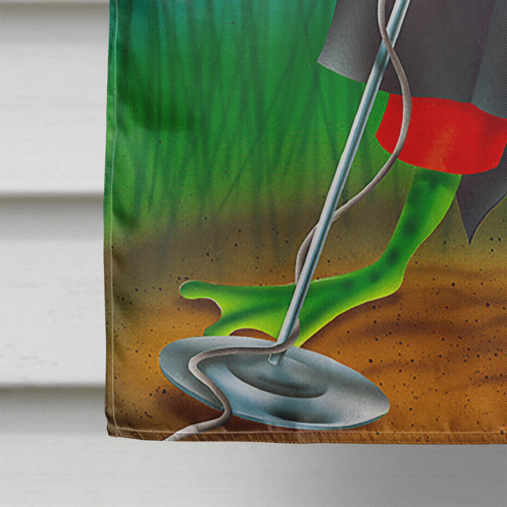 Frog Comedy Routine House Flag 28x40 Porch Sleeve Pole Decorative Outside Yard Banner Artwork Wall Hanging, Polyester