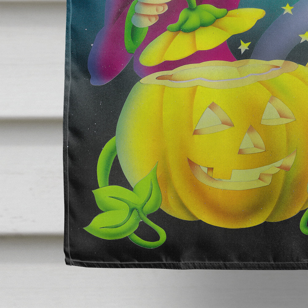 Witch Party with the Ghosts Halloween House Flag 28x40 Porch Sleeve Pole Decorative Outside Yard Banner Artwork Wall Hanging, Polyester