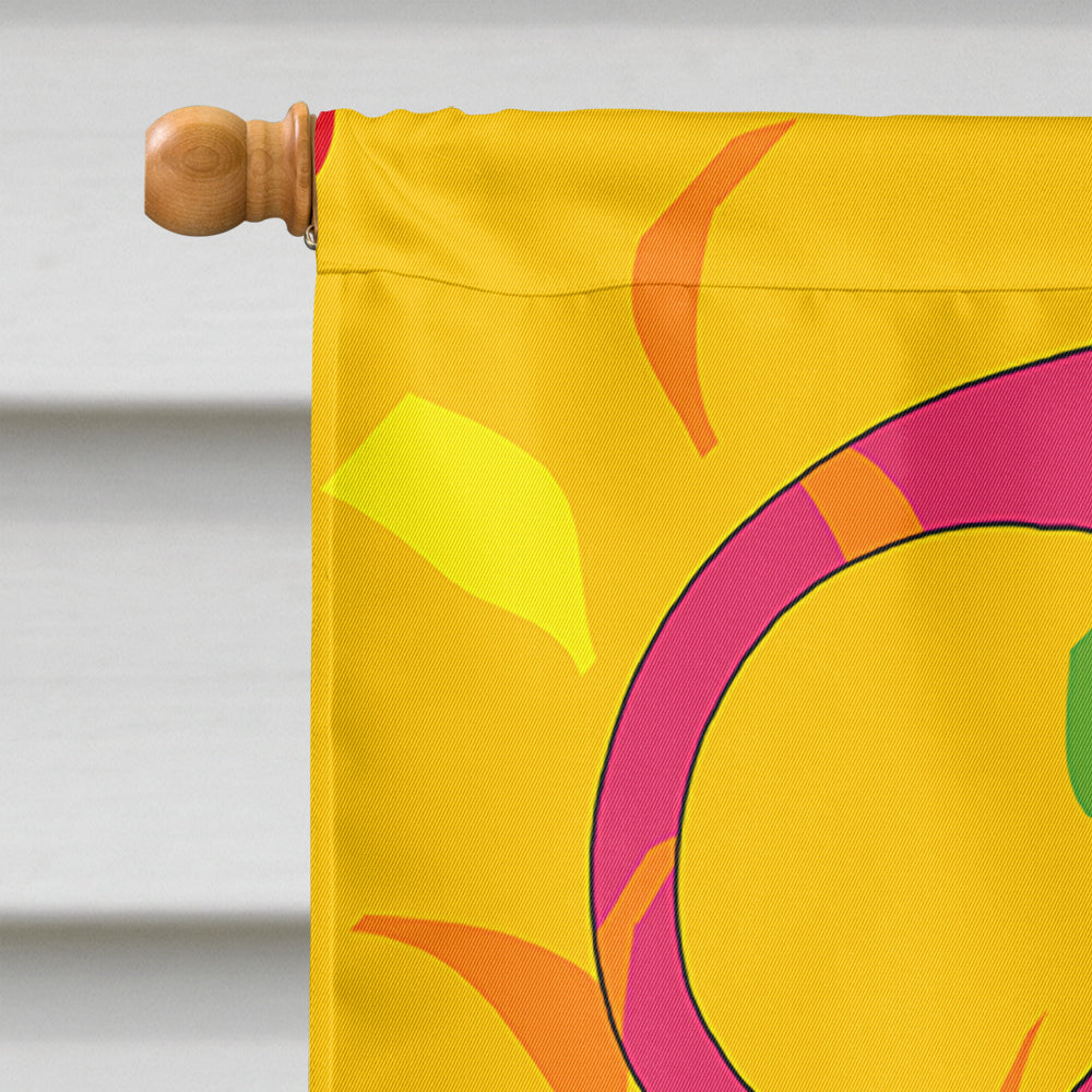 Happy 2nd Birthday Age 2 House Flag 28x40 Porch Sleeve Pole Decorative Outside Yard Banner Artwork Wall Hanging, Polyester