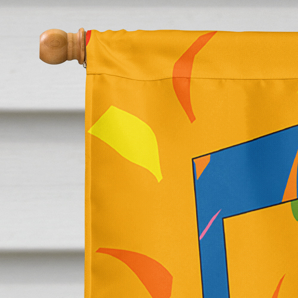 Happy 5th Birthday Age 5 House Flag 28x40 Porch Sleeve Pole Decorative Outside Yard Banner Artwork Wall Hanging, Polyester