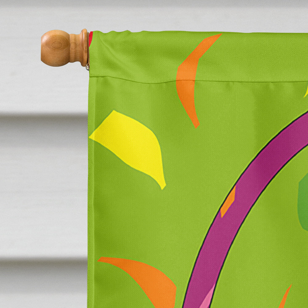 Happy 6th Birthday Age 6 House Flag 28x40 Porch Sleeve Pole Decorative Outside Yard Banner Artwork Wall Hanging, Polyester