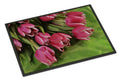 Pink Tulips Doormat Indoor Outdoor 18H X 27W Front Door Mat Rugs for Entryway, Non Slip Washable