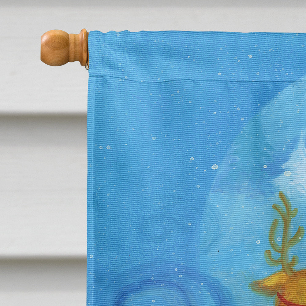 Christmas Santa Claus Good Night House Flag 28x40 Porch Sleeve Pole Decorative Outside Yard Banner Artwork Wall Hanging, Polyester