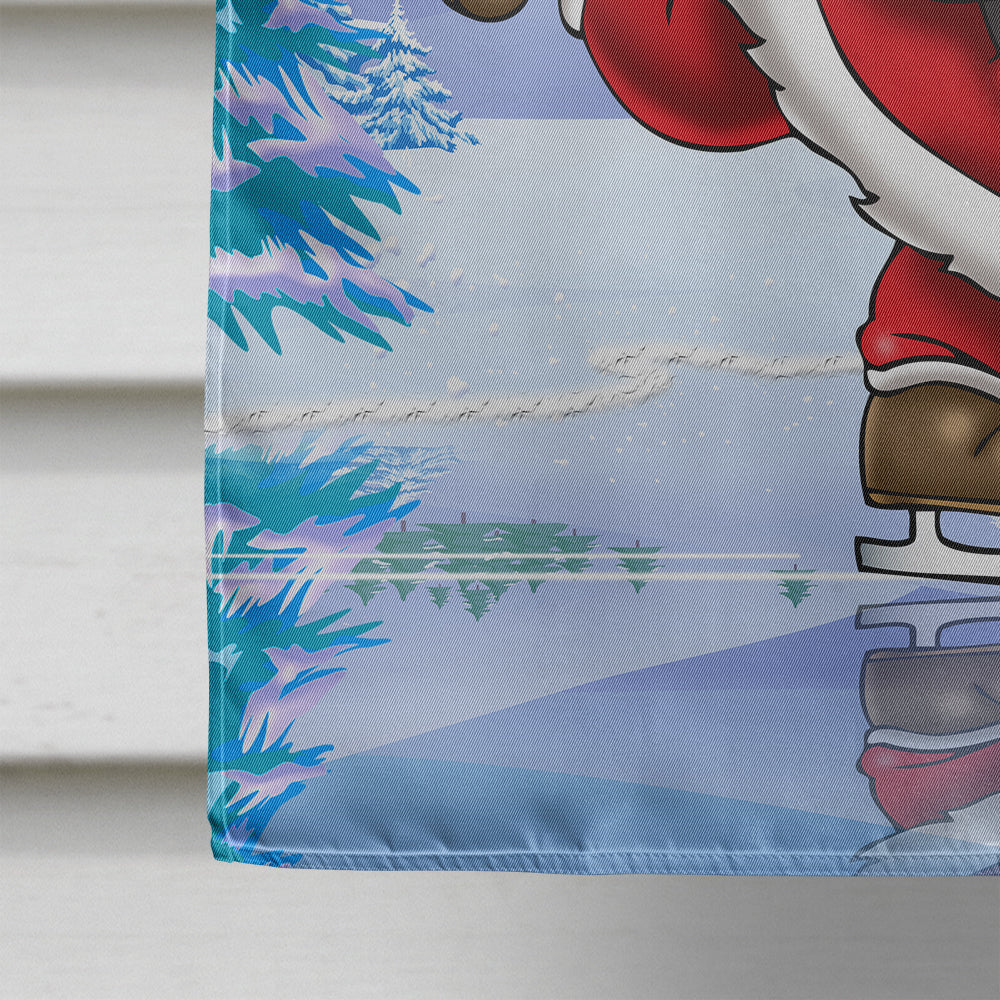 Christmas Santa Claus Ice Skating House Flag 28x40 Porch Sleeve Pole Decorative Outside Yard Banner Artwork Wall Hanging, Polyester