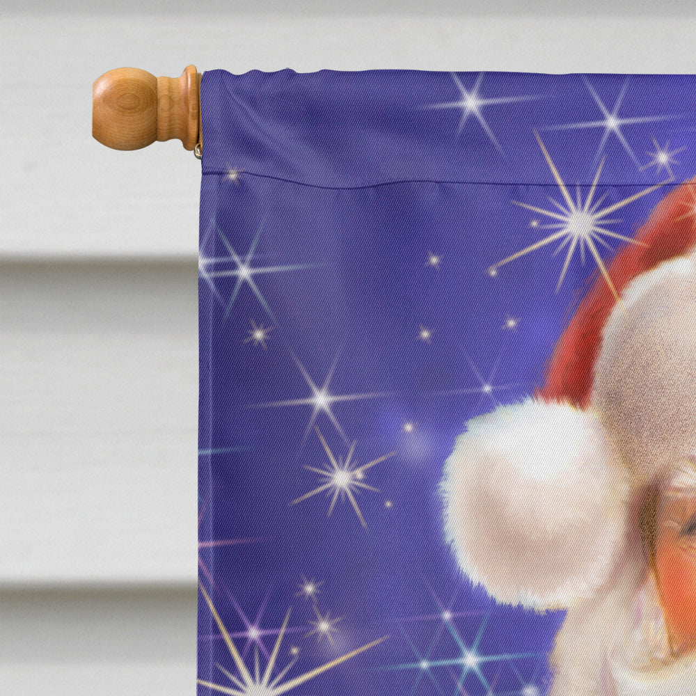 Christmas Santa Claus Ready to Work House Flag 28x40 Porch Sleeve Pole Decorative Outside Yard Banner Artwork Wall Hanging, Polyester