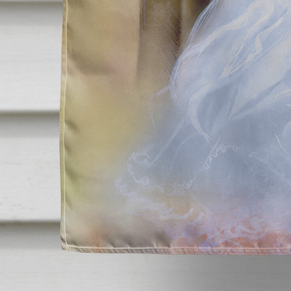 Wedding Couple Kiss House Flag 28x40 Porch Sleeve Pole Decorative Outside Yard Banner Artwork Wall Hanging, Polyester