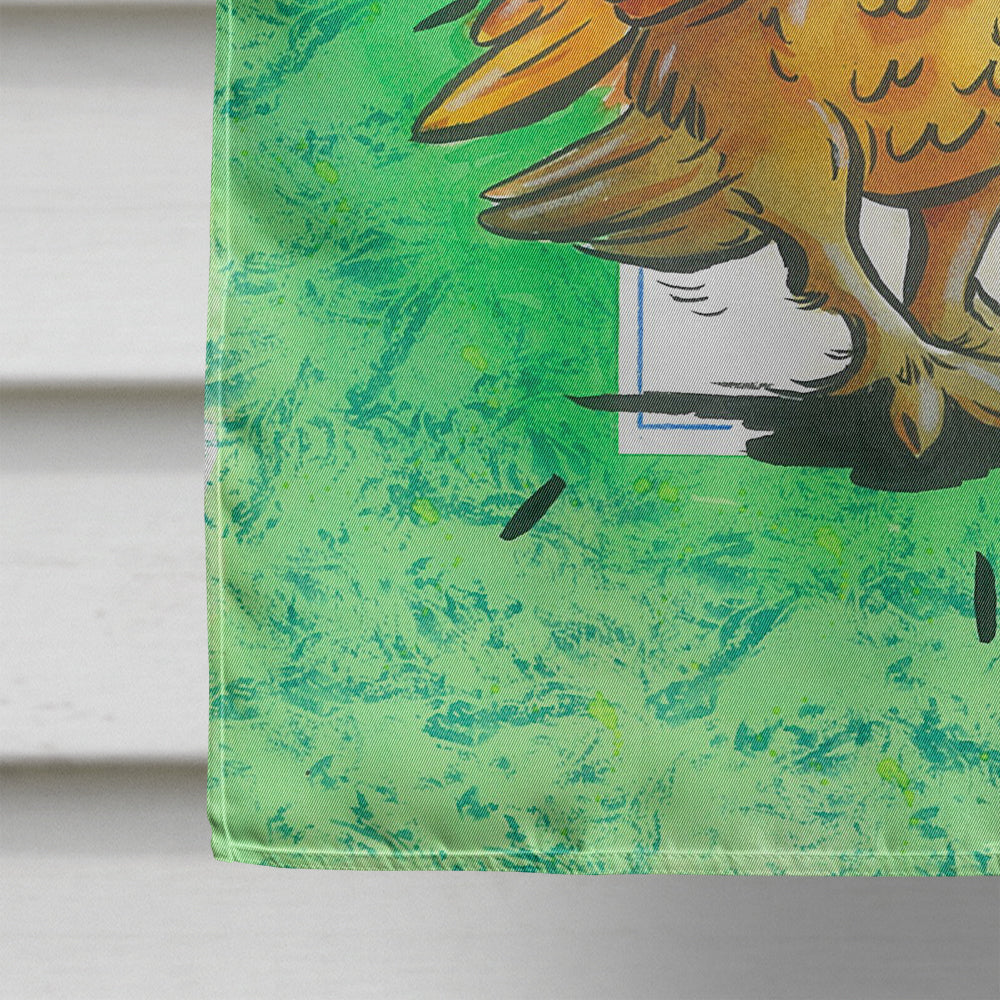 Graduation The Wise Owl House Flag 28x40 Porch Sleeve Pole Decorative Outside Yard Banner Artwork Wall Hanging, Polyester