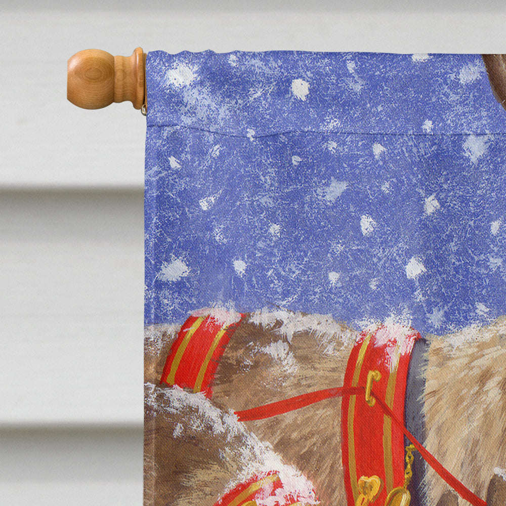 Reindeers & Squirrel House Flag 28x40 Porch Sleeve Pole Decorative Outside Yard Banner Artwork Wall Hanging, Polyester