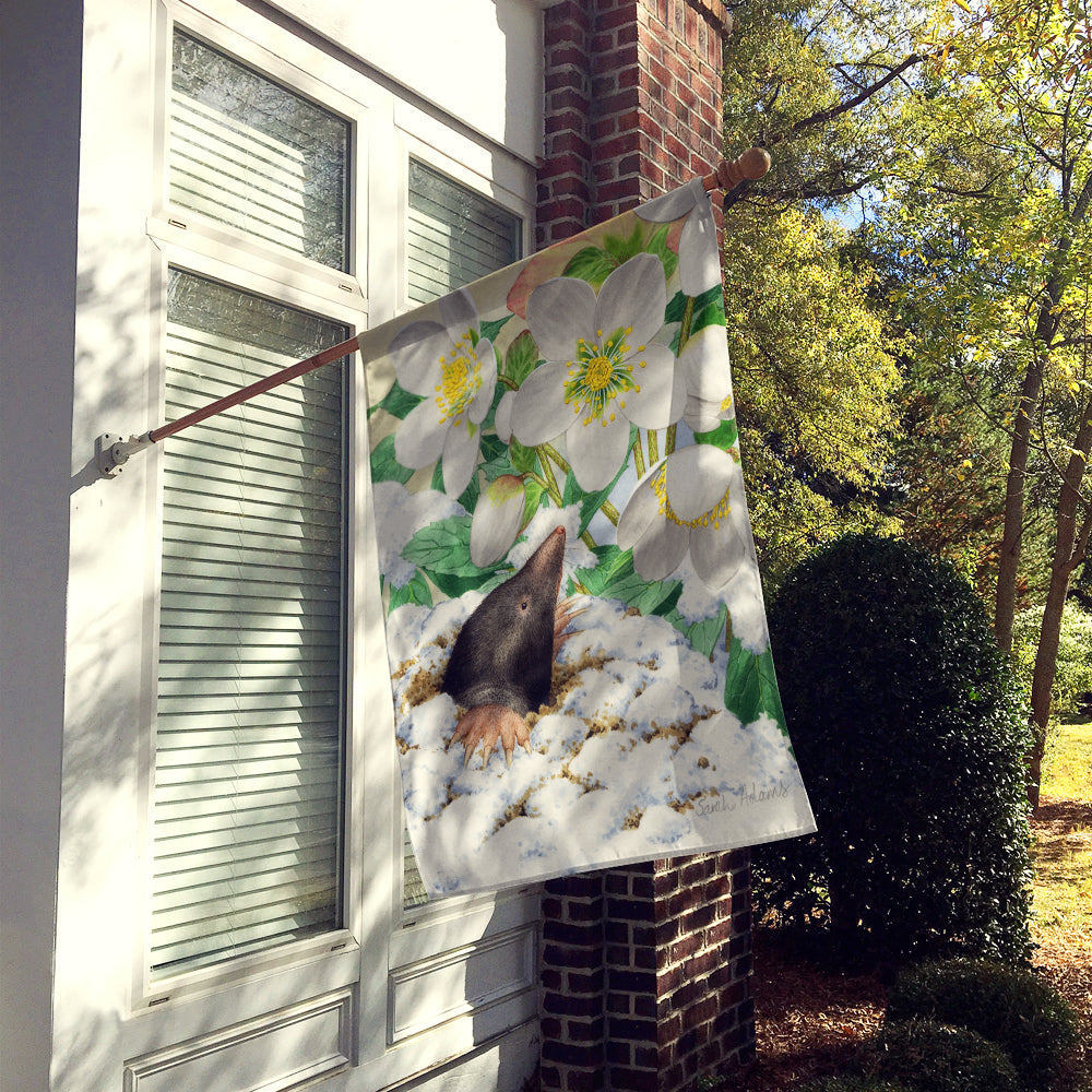 Mole House Flag 28x40 Porch Sleeve Pole Decorative Outside Yard Banner Artwork Wall Hanging, Polyester