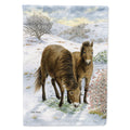 Exmoor Ponies Horse House Flag 28x40 Porch Sleeve Pole Decorative Outside Yard Banner Artwork Wall Hanging, Polyester