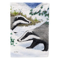 Badgers Look Here House Flag 28x40 Porch Sleeve Pole Decorative Outside Yard Banner Artwork Wall Hanging, Polyester