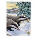 Badgers Two of a Kind House Flag 28x40 Porch Sleeve Pole Decorative Outside Yard Banner Artwork Wall Hanging, Polyester