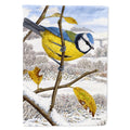 Eurasian Blue Tits Bird House Flag 28x40 Porch Sleeve Pole Decorative Outside Yard Banner Artwork Wall Hanging, Polyester