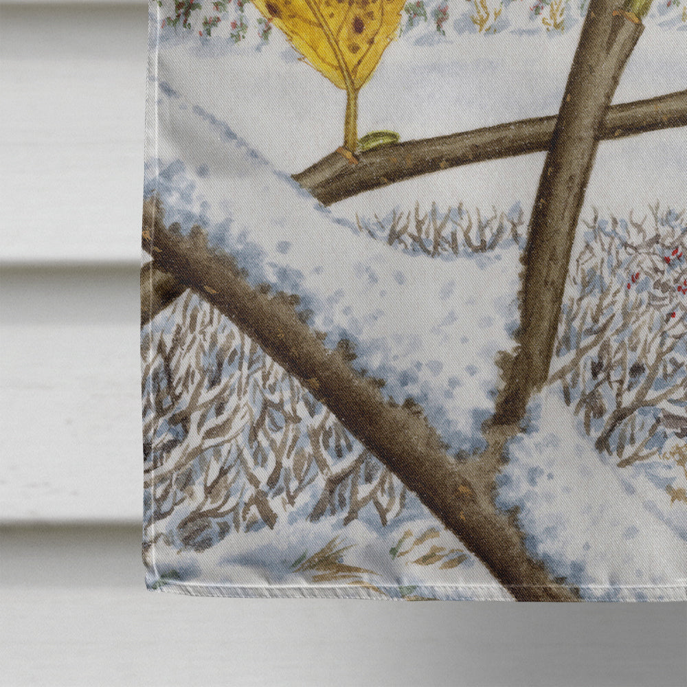 Eurasian Blue Tits Bird House Flag 28x40 Porch Sleeve Pole Decorative Outside Yard Banner Artwork Wall Hanging, Polyester