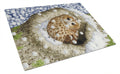 Tawny Owl in the Tree Cutting Board Tempered Glass Kitchen Cutting Surface, Heat Resistant Chopping, Non-Slip Feet, Food Prep & Serving
