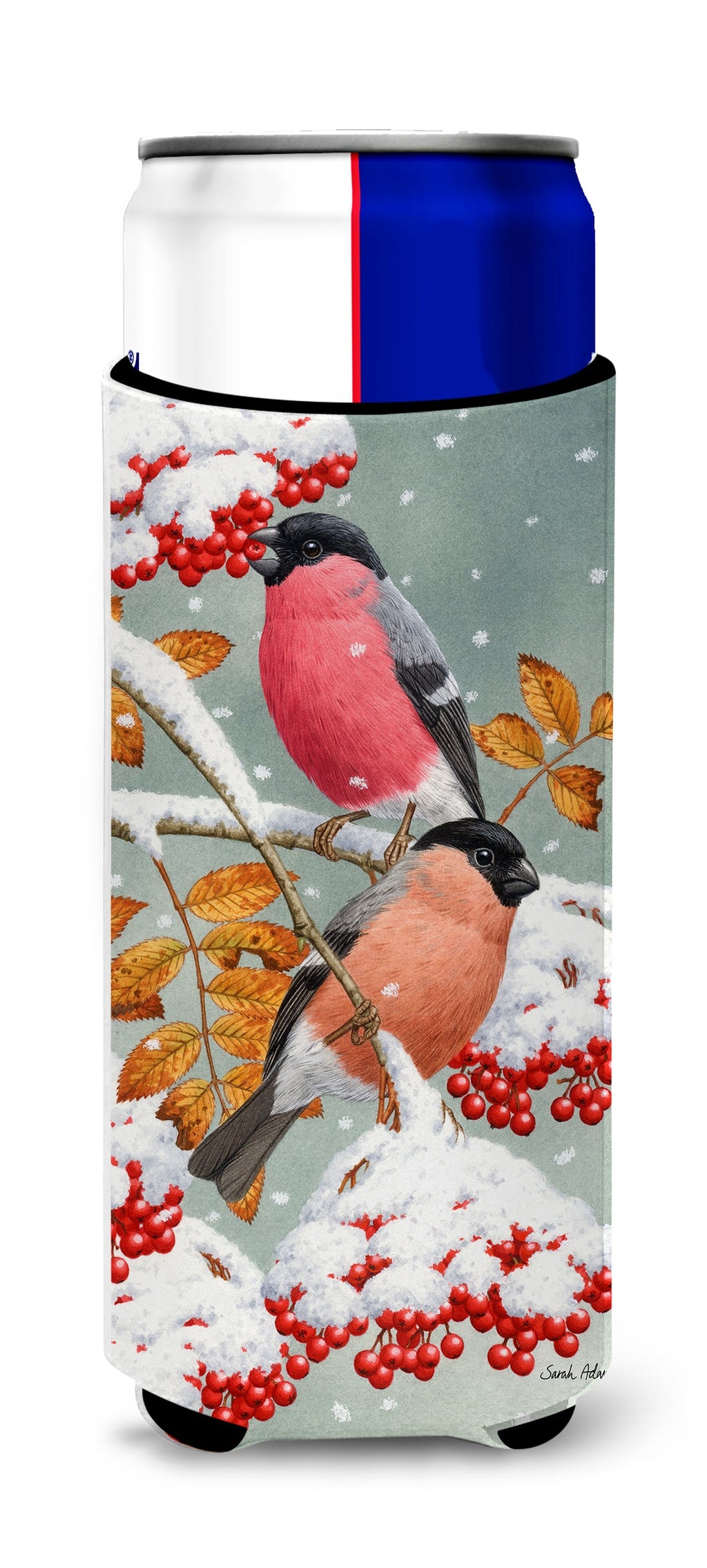 Eurasian Bullfinches Slim Can Hugger , Insulated Foam Hugger for 12 oz Slim Cans, Beer Bottles & Water Bottles, Printed in USA