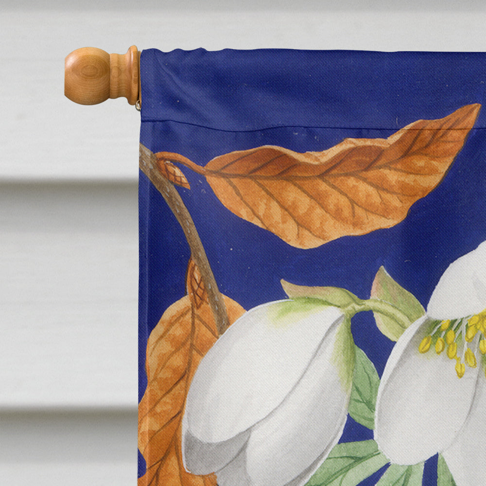 Eurasian Blue Tit House Flag 28x40 Porch Sleeve Pole Decorative Outside Yard Banner Artwork Wall Hanging, Polyester