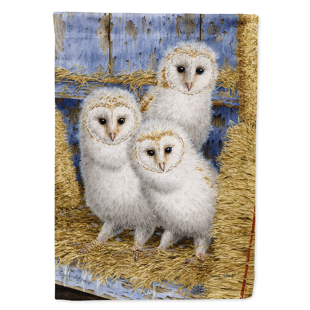 Barn Owl Chicks House Flag 28x40 Porch Sleeve Pole Decorative Outside Yard Banner Artwork Wall Hanging, Polyester