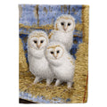 Barn Owl Chicks House Flag 28x40 Porch Sleeve Pole Decorative Outside Yard Banner Artwork Wall Hanging, Polyester
