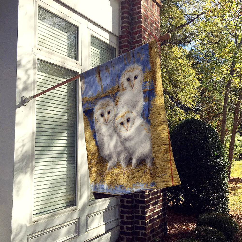 Barn Owl Chicks House Flag 28x40 Porch Sleeve Pole Decorative Outside Yard Banner Artwork Wall Hanging, Polyester