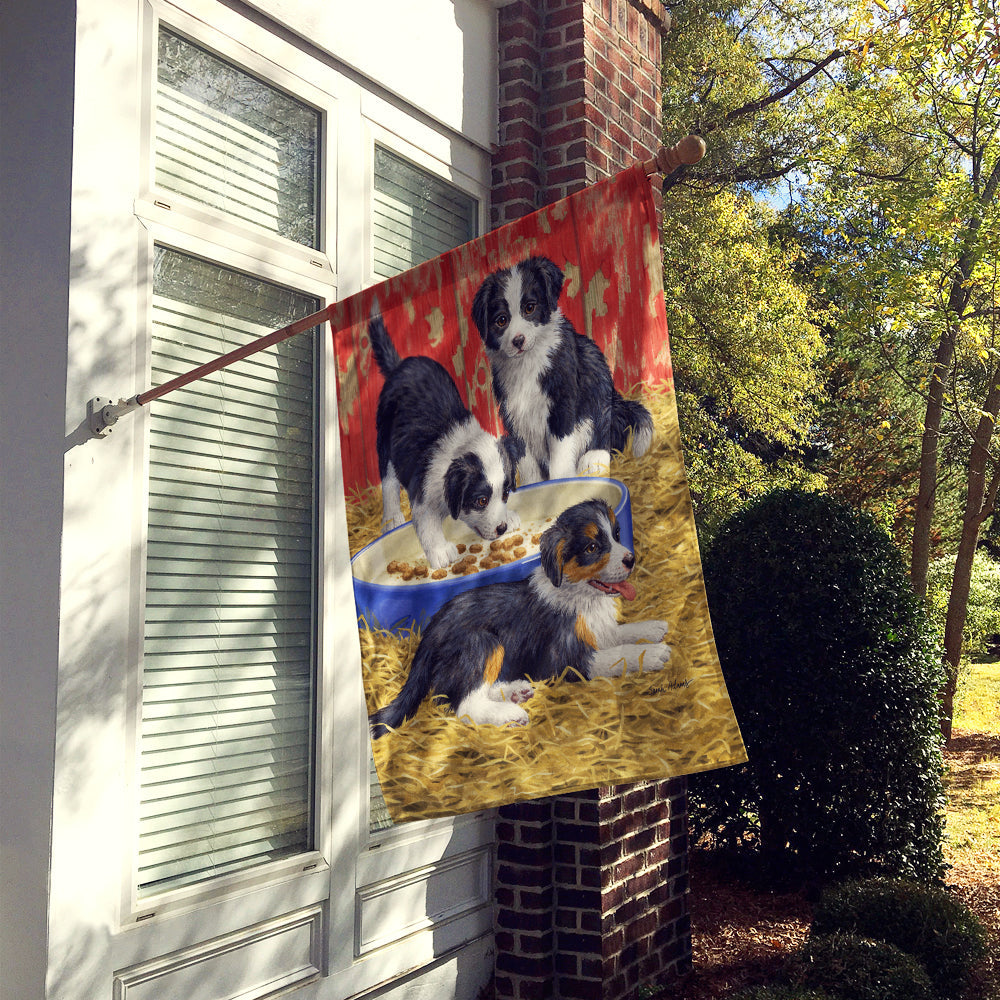 Border Collie Pups House Flag 28x40 Porch Sleeve Pole Decorative Outside Yard Banner Artwork Wall Hanging, Polyester