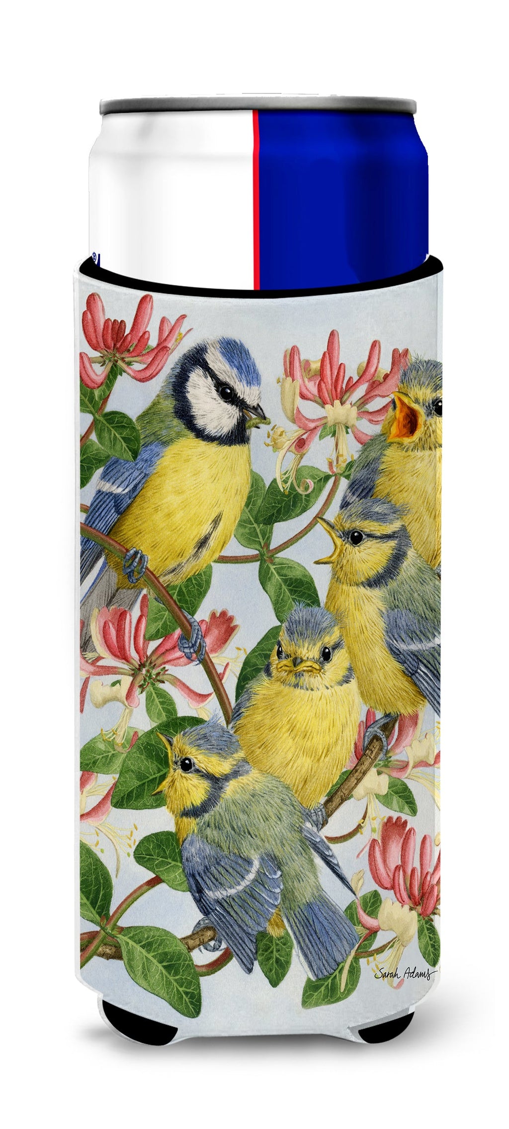 Eurasian Blue Tits at feeding time Slim Can Hugger , Insulated Foam Hugger for 12 oz Slim Cans, Beer Bottles & Water Bottles, Printed in USA