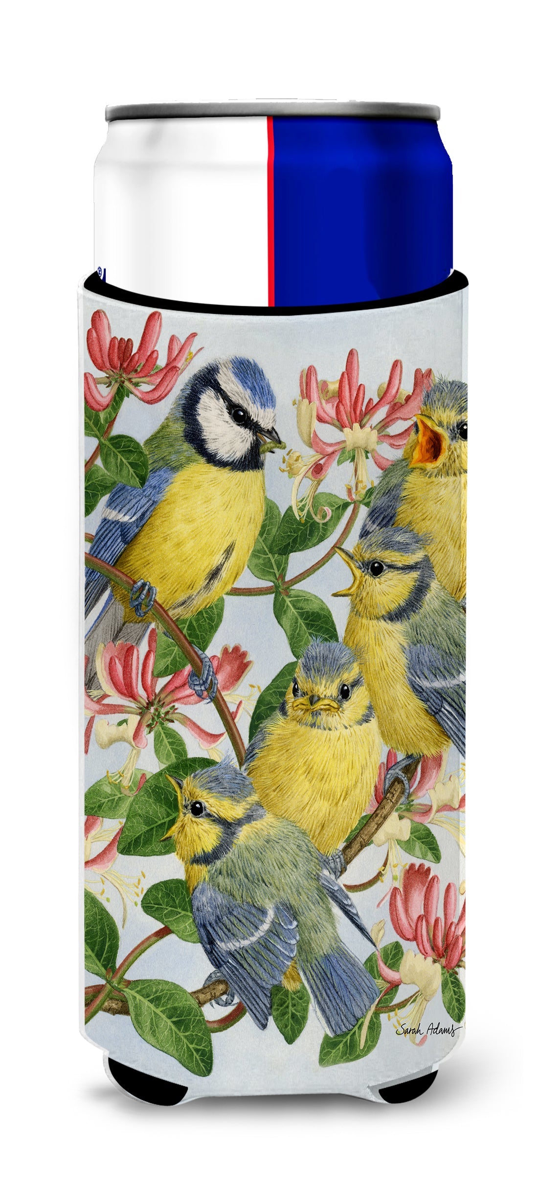 Eurasian Blue Tits at feeding time Slim Can Hugger , Insulated Foam Hugger for 12 oz Slim Cans, Beer Bottles & Water Bottles, Printed in USA