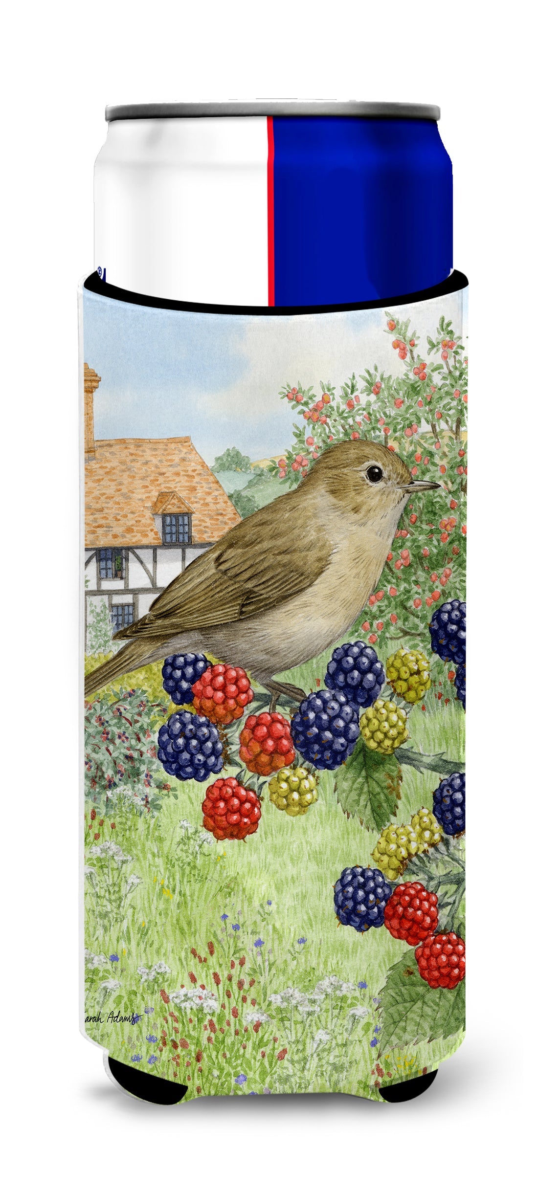 Garden Warbler Slim Can Hugger , Insulated Foam Hugger for 12 oz Slim Cans, Beer Bottles & Water Bottles, Printed in USA