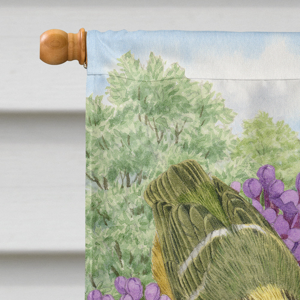 Coal Tits House Flag 28x40 Porch Sleeve Pole Decorative Outside Yard Banner Artwork Wall Hanging, Polyester