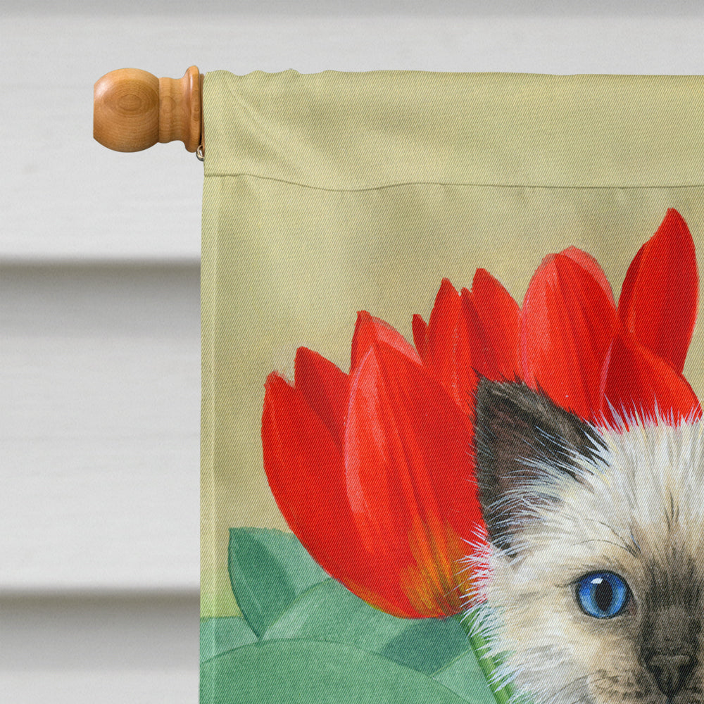 Birman Kittens House Flag 28x40 Porch Sleeve Pole Decorative Outside Yard Banner Artwork Wall Hanging, Polyester